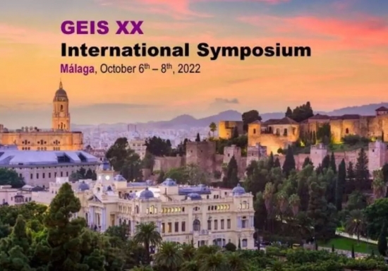 GEIS XX International Symposium